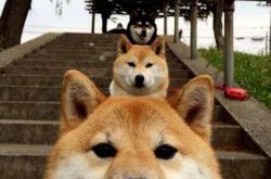 爱游戏体育-劳塔罗，当蓝黑利刃刺穿非洲雄鹰—克罗地亚与尼日利亚对决中的唯一主宰