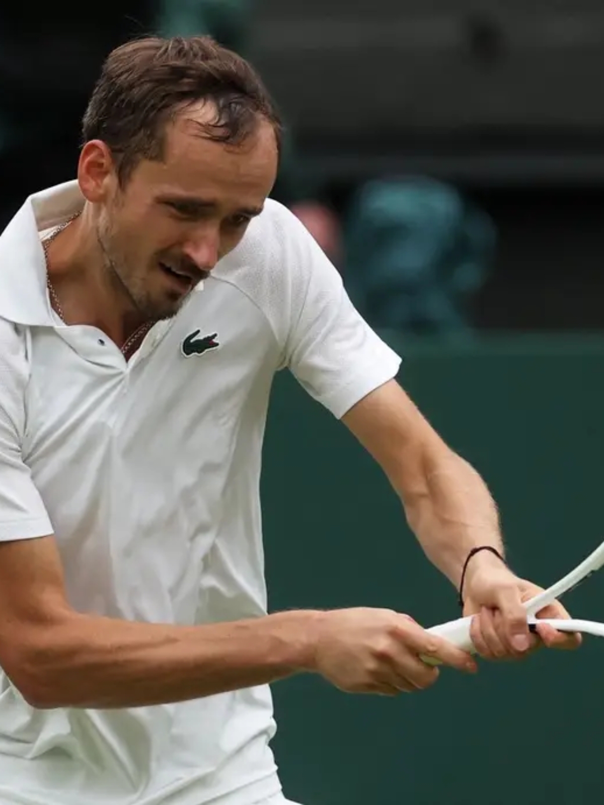 拉沃尔杯碾压温网，梅德韦杰夫高光表现的简单介绍