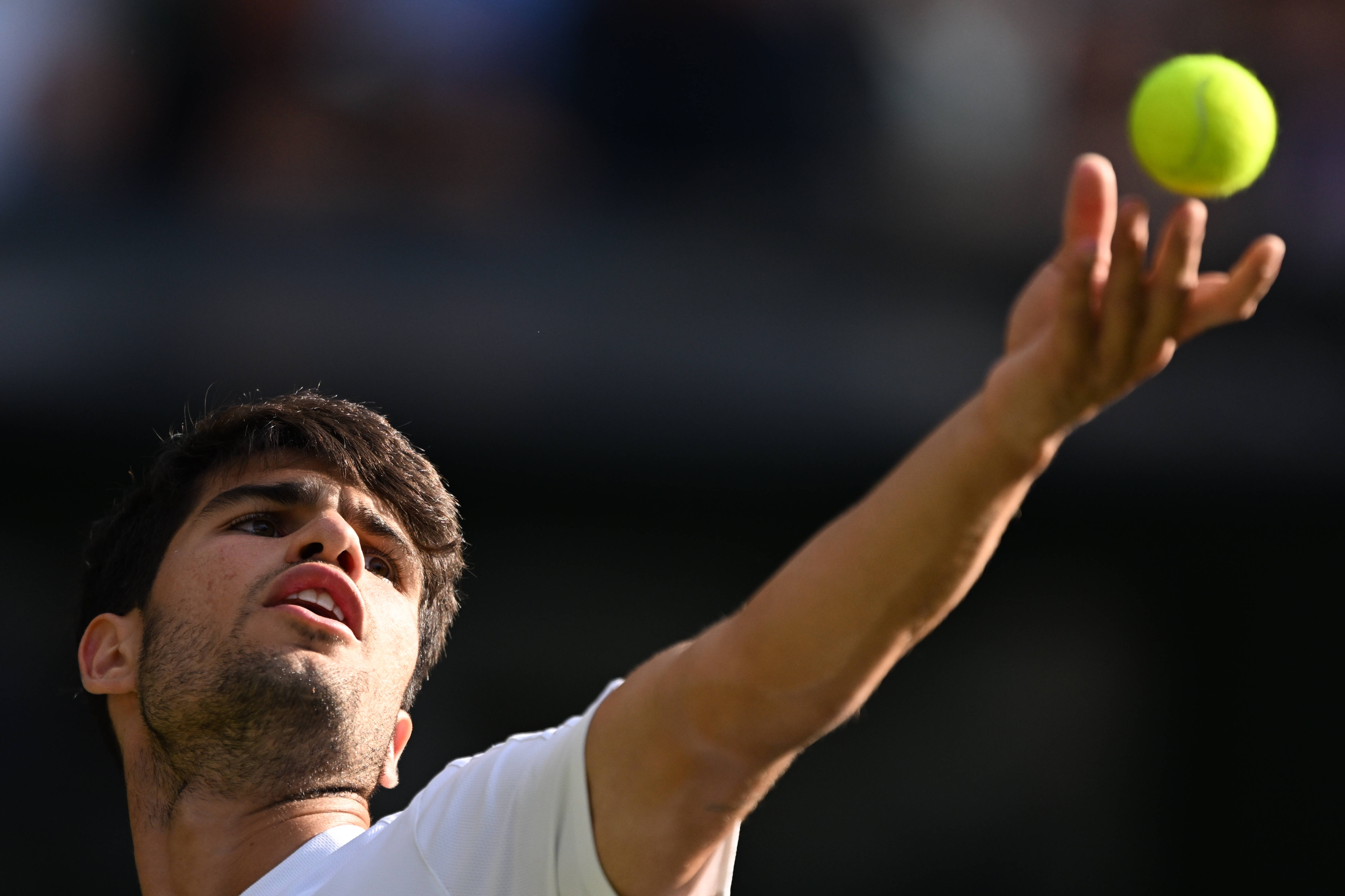 温网横扫ATP总决赛，阿尔卡拉斯状态火热的简单介绍