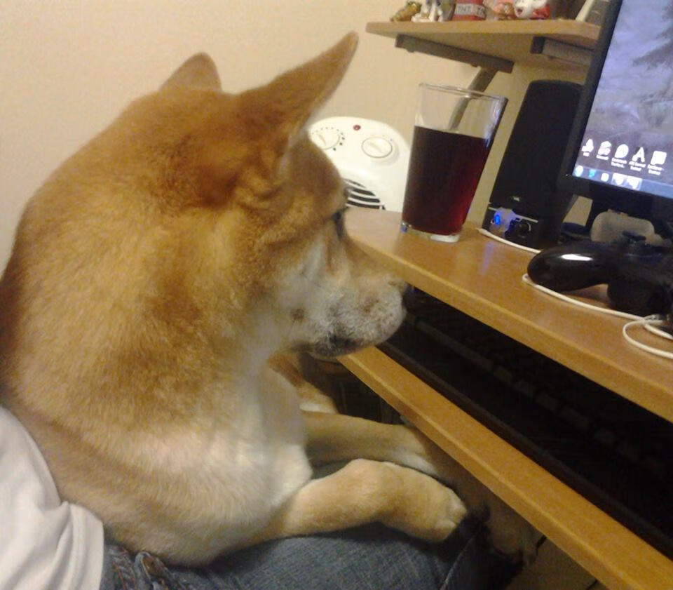 罗德里主宰比赛走向，乌克兰险胜阿根廷—一场战术与意志的较量